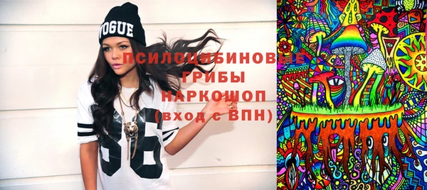 ГАЛЛЮЦИНОГЕННЫЕ ГРИБЫ Михайловка