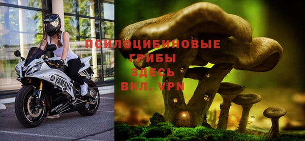 a pvp Абдулино